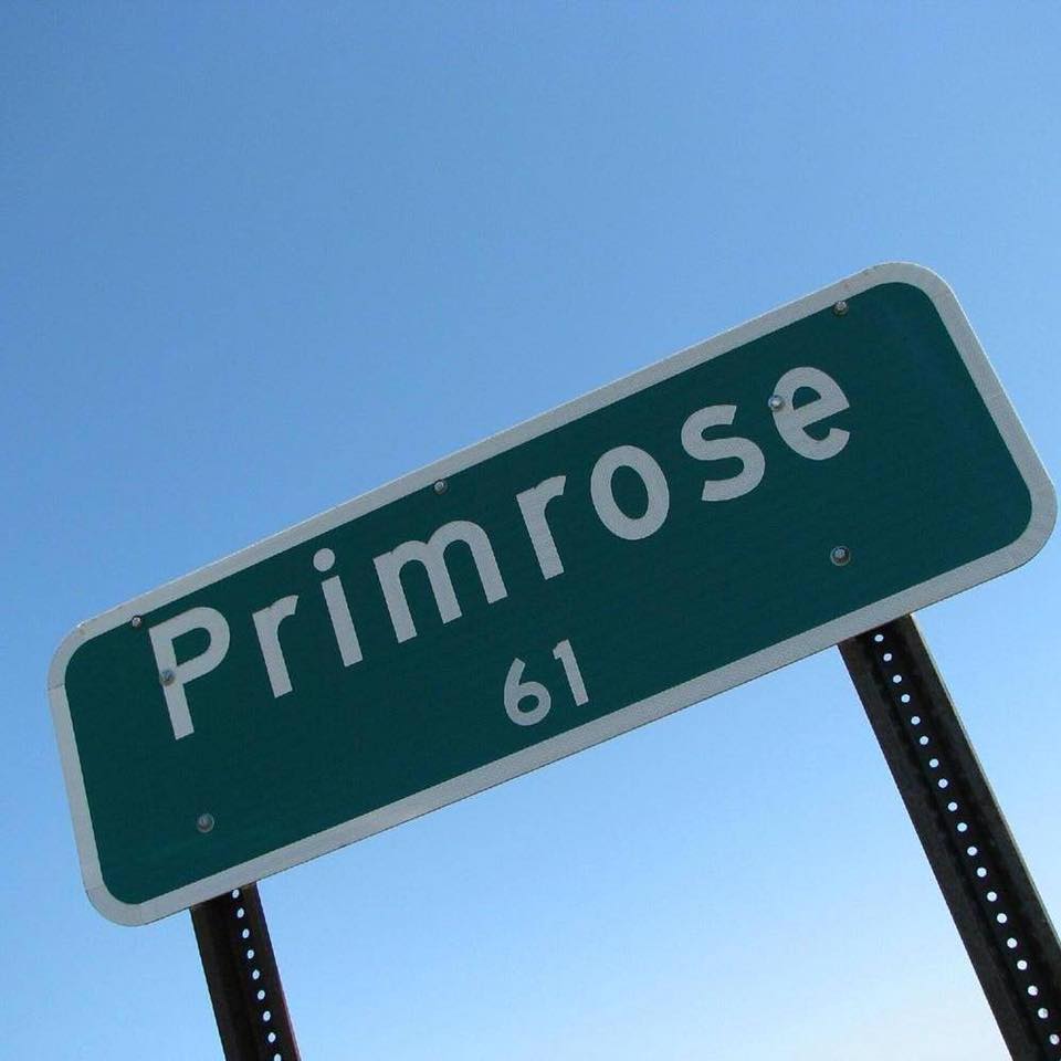 Primrose Ne